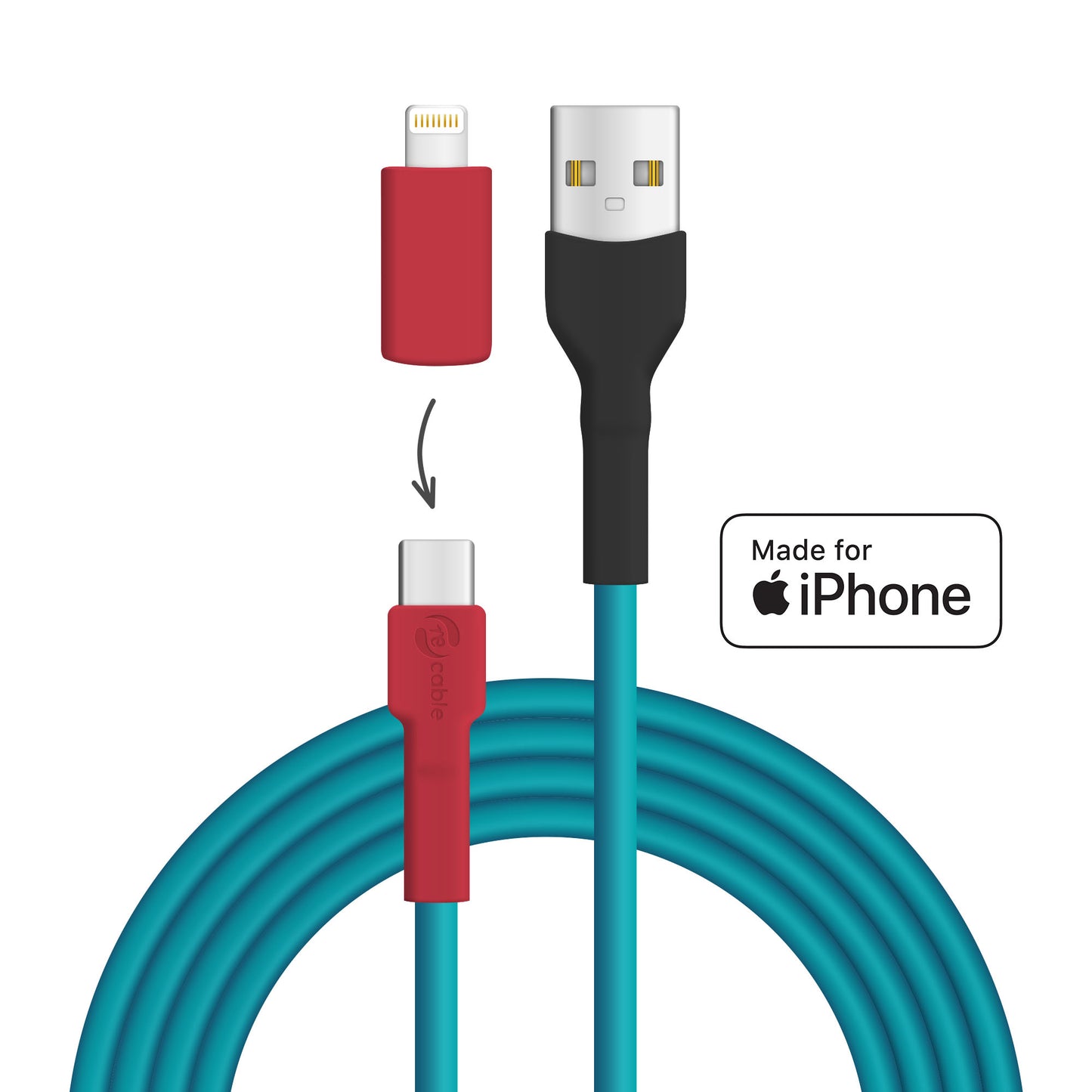 Türkisnaschvogel USB A - USB C + Lightning (iPhone)