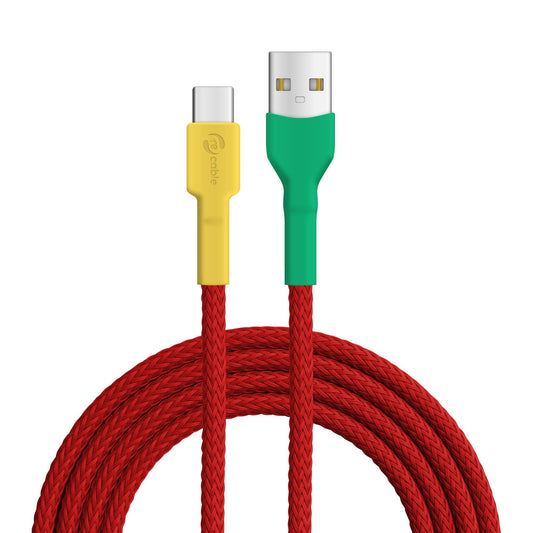 Unzertrennliche USB A - USB C