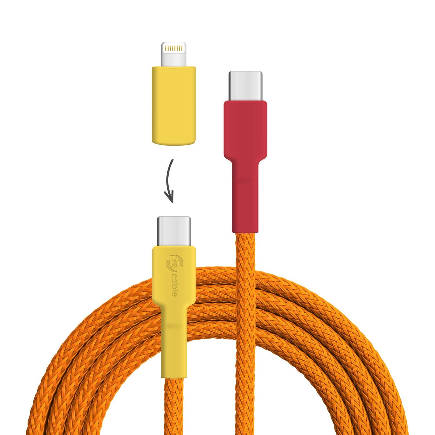 USB-Kabel, Design: Flammenlaubenvogel, Anschlüsse: USB C auf USB C mit Lightning Adapter (nicht verbunden)